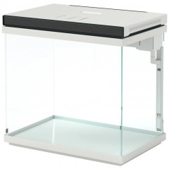 Acvariu cu filtru, 38 x 26 x 38 cm | transparent č.3