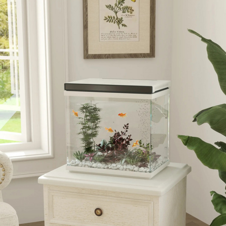 Acvariu cu filtru, 38 x 26 x 38 cm | transparent