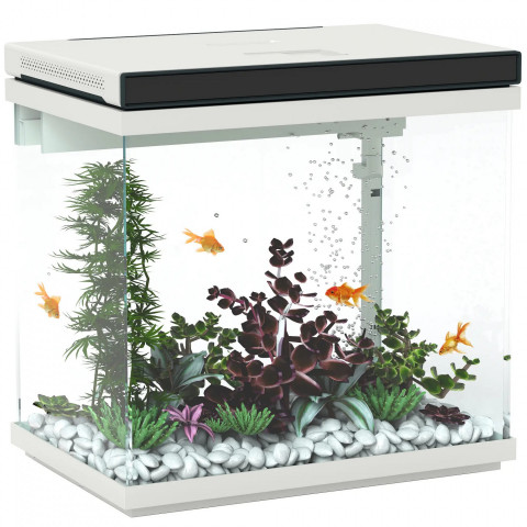 Acvariu cu filtru, 38 x 26 x 38 cm | transparent č.2
