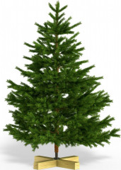 Brad de Crăciun artificial Premium 150 cm č.3