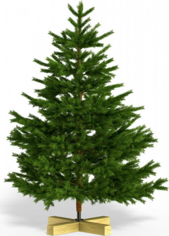 Brad de Crăciun artificial Premium 150 cm č.3