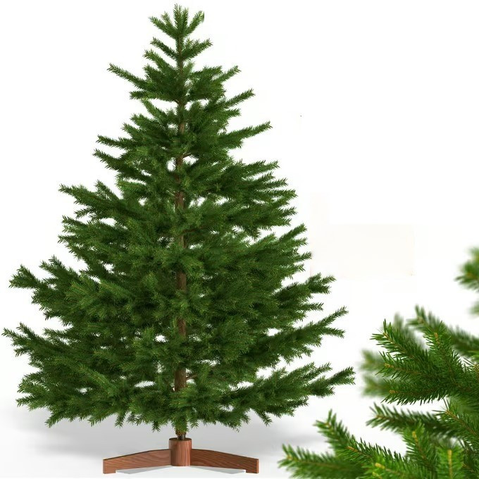 Brad de Crăciun artificial Premium 150 cm