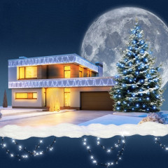 Ghirlandă luminoasă de Crăciun 11,5 m | LED alb rece č.2