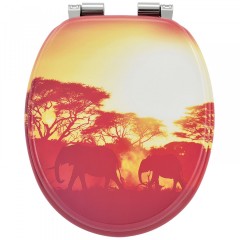 Capac de WC | Africa č.1