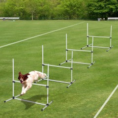 Obstacol de agilitate pentru câini 95 x 65 x 95 cm| alb č.2