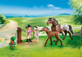 Playmobil 6931 Trăsura cu cal č.3