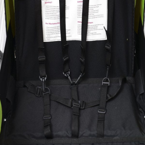 Remorcă de bicicletă, pentru 2 copii Jogger 2 in 1, | verde - negru č.7