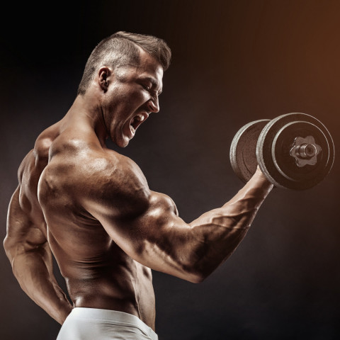 Ganteră profesională MOVIT | 15 kg č.4