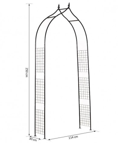 Arcadă de grădină pentru trandafiri | 250 x 30 x 114 cm č.3
