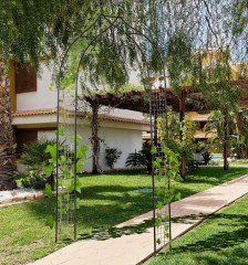 Arcadă de grădină pentru trandafiri | 250 x 30 x 114 cm č.1