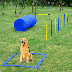 Obstacol de agilitate pentru câini | Set 4 tipuri