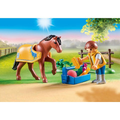 Playmobil 70523 Ponei Galez č.3