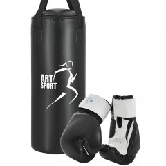 Set sac de box 10 kg cu mănuși č.3