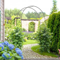 Arcadă de grădină pentru trandafiri 140 x 40 x 240 cm | negru