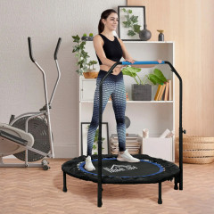 Trambulină fitness cu mâner reglabil pe înălțime | Ø 102 cm č.2