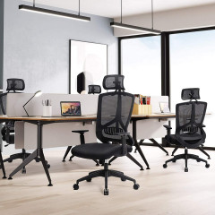 Scaun de birou ergonomic cu suport lombar | negru č.1