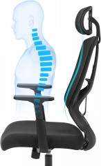 Scaun de birou ergonomic cu suport lombar | negru č.2