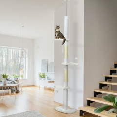 Ansamblu de joacă pentru pisici 225-255 cm | alb č.1
