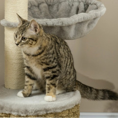 Ansamblu de joacă pentru pisici, cu peșteră 115,5 cm | gri deschis č.3