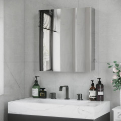 Dulap cu oglindă pentru baie 54x13x60cm | argintiu